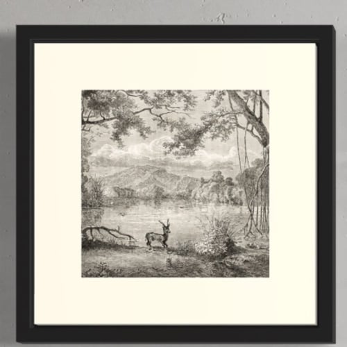 مجموعة لوحات كنفاس مكونة من 6 لوحات