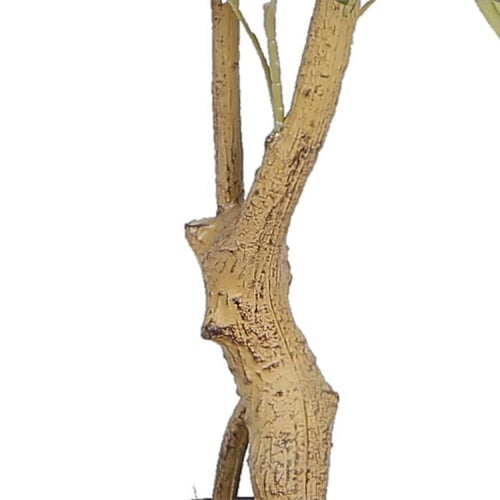 Olive Tree | شجرة زيتون صناعية عالية الجودة
