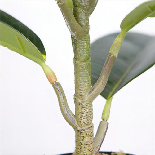 Oak Tree | كازدلا شجرة مطاط صناعية