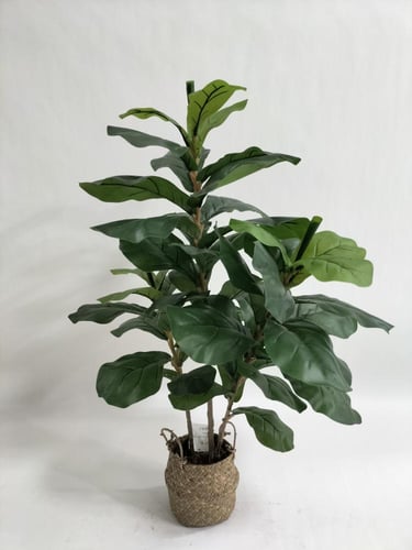 Fiddle-Leaf Fig | شجرة فيكس ليراتا صناعية