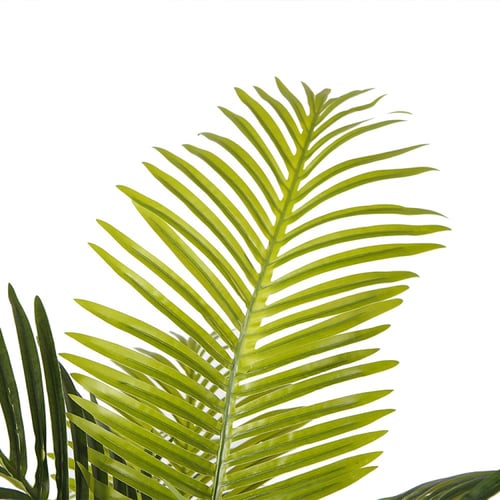 Areca Palm | شجرة نخيل الاريكا الصناعية
