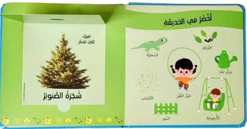 كتاب الروائح والألوان-الروائح اليومية