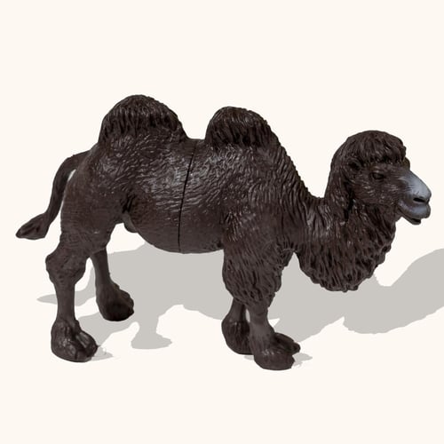 حيوانات البرية- حجم كبير