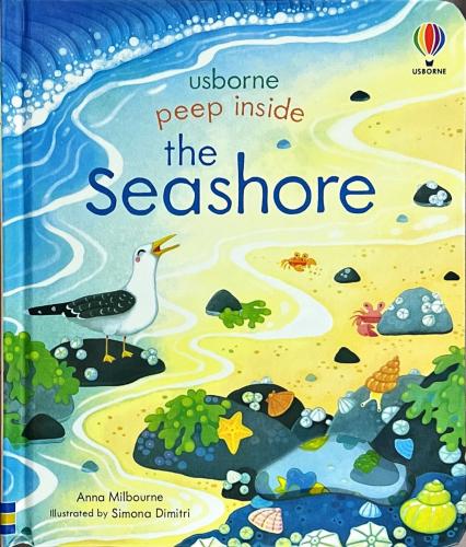 The seashore
