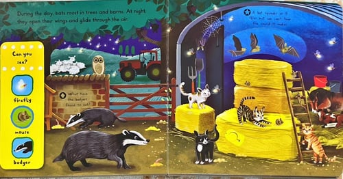 كتاب الحيوانات الليلية "Night animals"