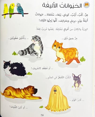 موسوعة لاروس-للصغار