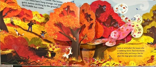 كتاب فصول السنة ثلاثي الأبعاد "Pop-Up Seasons"