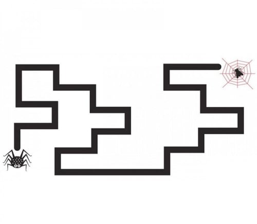 كتاب اتبَعني