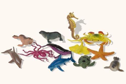 حيوانات البحر-حجم كبير