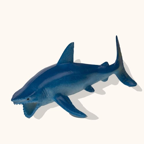 حيوانات البحر-حجم كبير