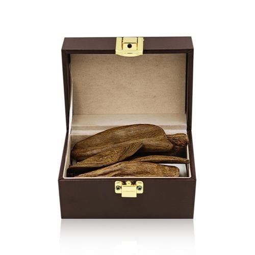 Moroccan oud, super natural
