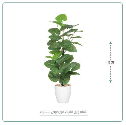 شجرة ورق قلب حوض أبيض ارتفاع 115 سم