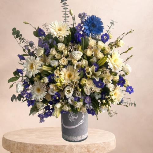 فازة مولود هولنديه