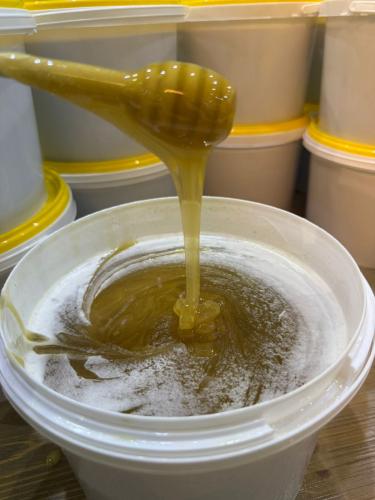 عسل السدر ٣ كيلو