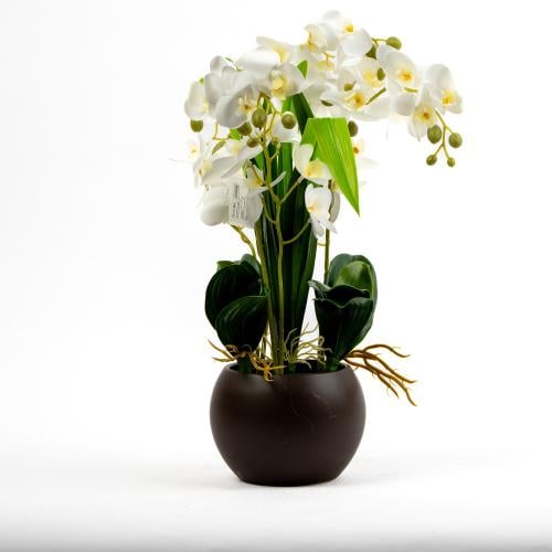 مركن ورد كبير