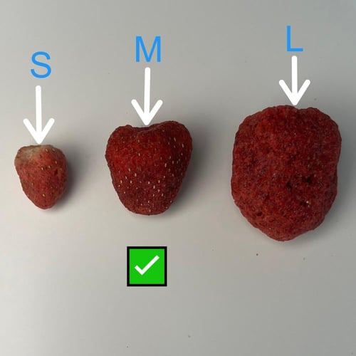 فراولة مجففة بالتبريد بدون سكر