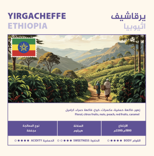 أظرف قهوة - اثيوبيا يرقاشيف - 12g - متاح