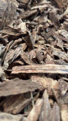 عود فيتنامي دقه وميني