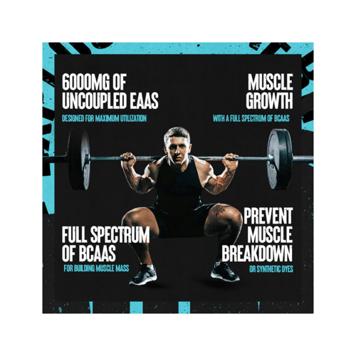 UNIVERSAL ANIMAL NITRO 44 PACKS