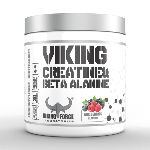VIKING CREATINE AND BETA ALANINE MIX BERRIES 300 G