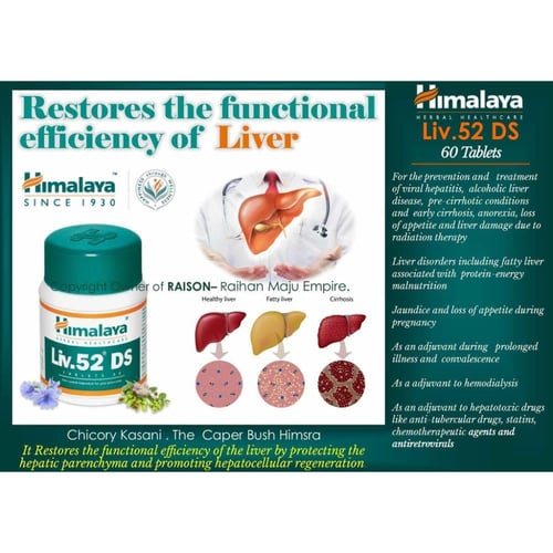 HIMALAYA Liv.52 DS 90 capsules