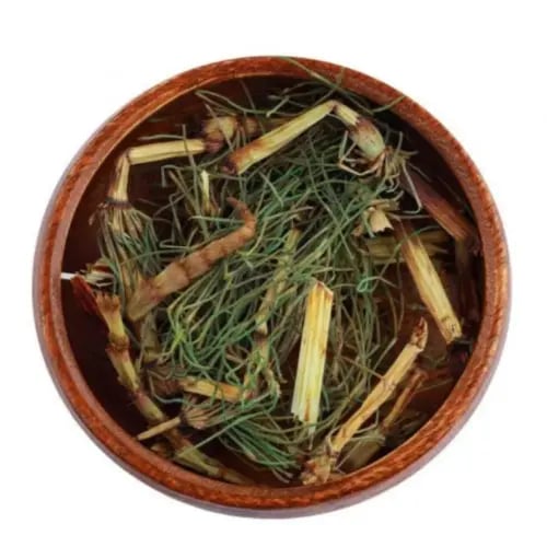 Horsetail herb