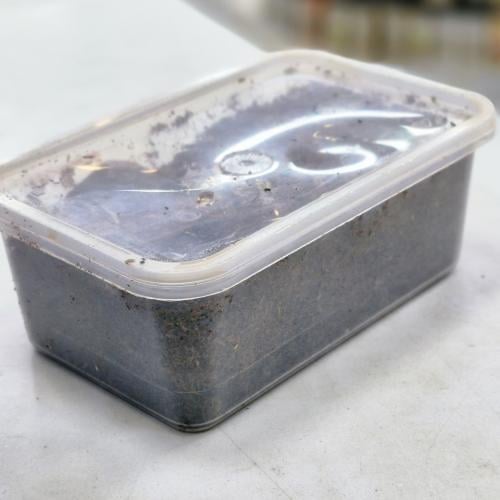 بخور مخلط نجران كبير