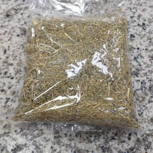 عشبة الشيح بلدي
