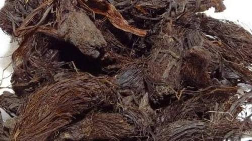 عشبة السنبلة 80جرام