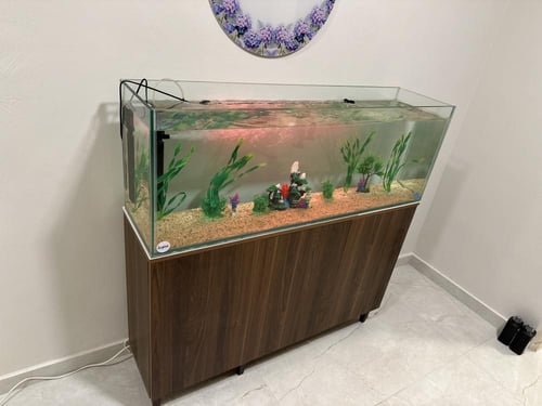 حوض سمك نهري 140سم كامل