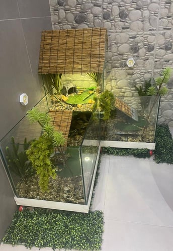 حوض سلاحف برمائية تفصيل 120سم