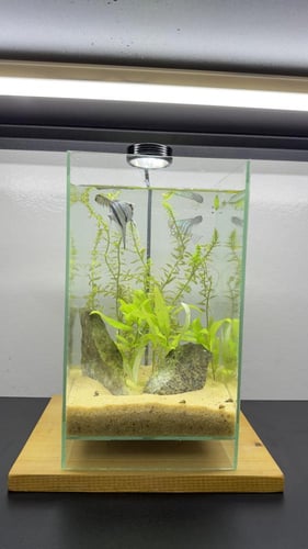 حوض تفصيل طولي