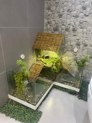 حوض سلاحف برمائية تفصيل 120سم