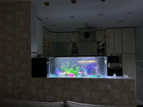 حوض سمك جداري زجاج كريستال