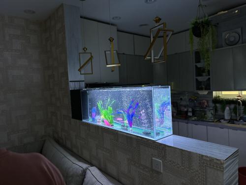 حوض سمك جداري زجاج كريستال