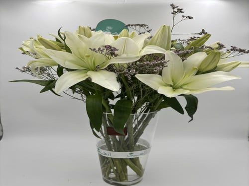 فازة أَزْهـِر ليليوم