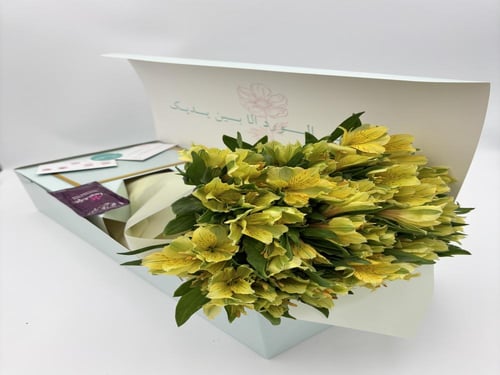 بوكس ورد "إسترو ميريا"