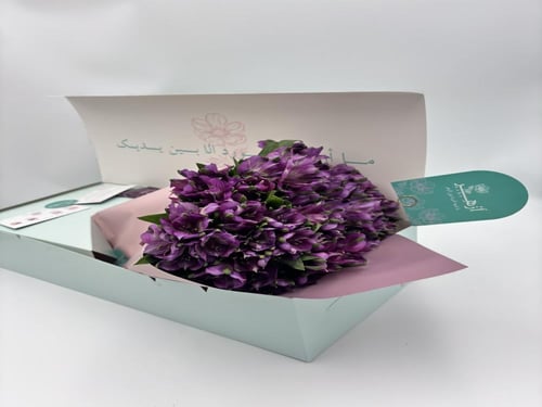 بوكس ورد "إسترو ميريا"