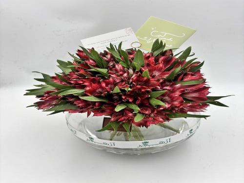 فازة " استروميريا "