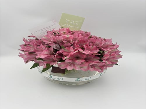 فازة " استروميريا "