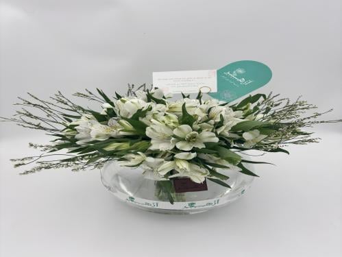 فازة " استروميريا "