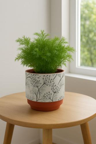 أصيص سيراميك أبيض بنقشة نباتية وقاعدة طينية