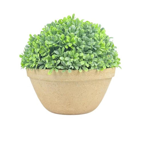 نبتة بونساي صغيرة صناعية شكل أنيق وحجم مثالي للديك...