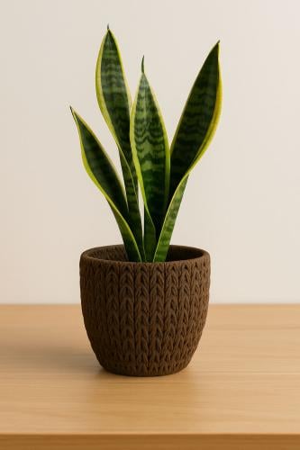 أصيص زراعة سيراميكي بنقشة نسيج بني