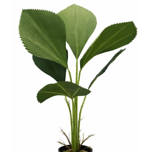 نبتة نخيل مروحية داخلية فاخرة للديكور