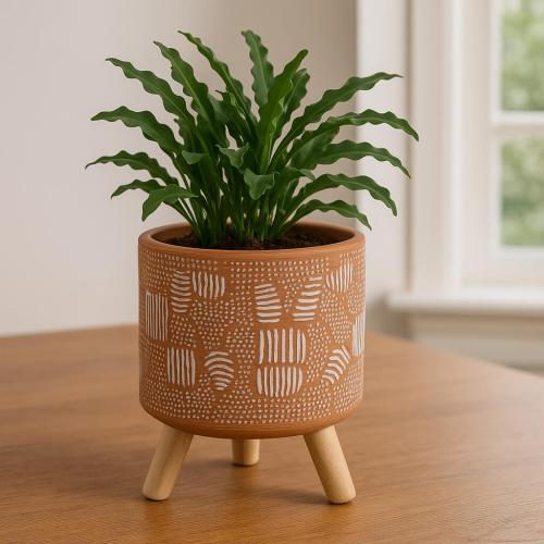 أصيص سيراميك بلون طيني مزخرف وقاعدة خشبية