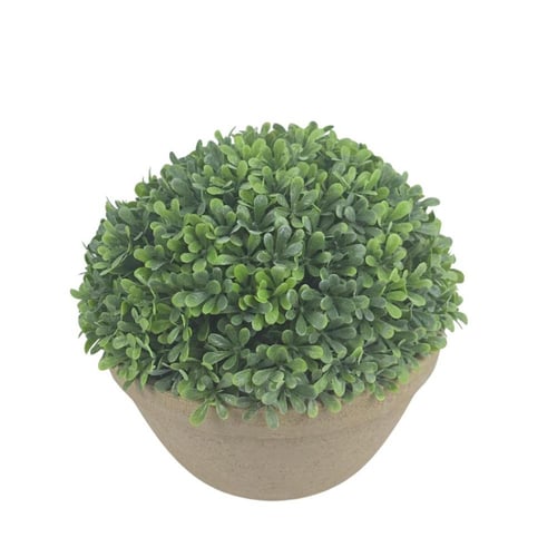 نبتة بونساي صغيرة صناعية شكل أنيق وحجم مثالي للديك...