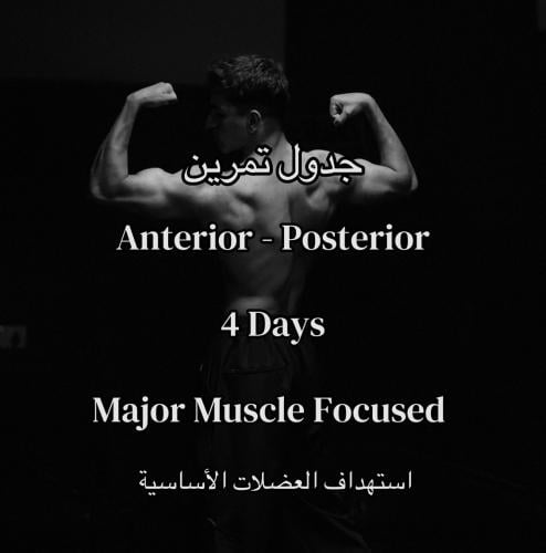 جدول تمرين Anterior-posterior ( 4 days - major mus...