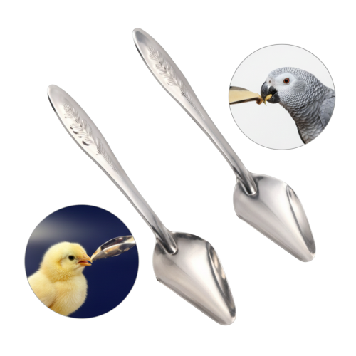 A spoon.
