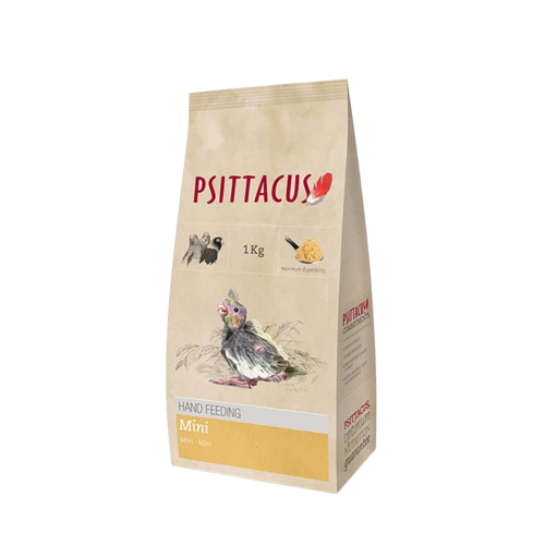 سيريلاك الببغاوات الصغيرة